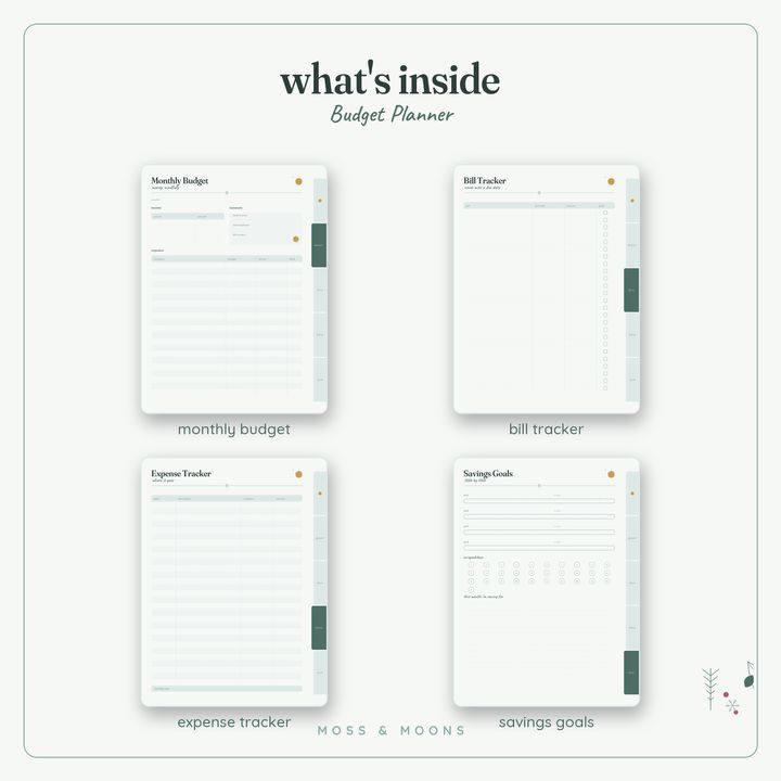 Inside the Budget Planner — Winter Frost digital planner