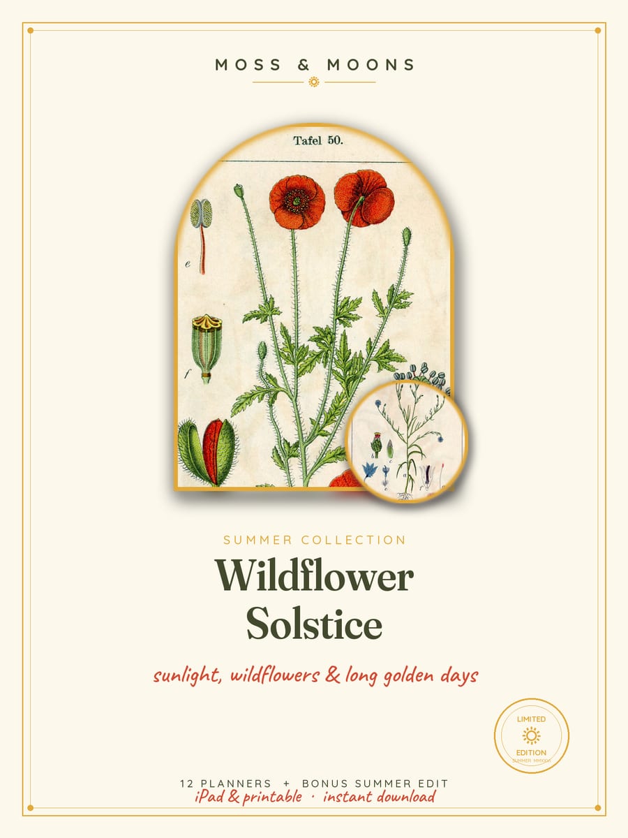 Wildflower Solstice cover