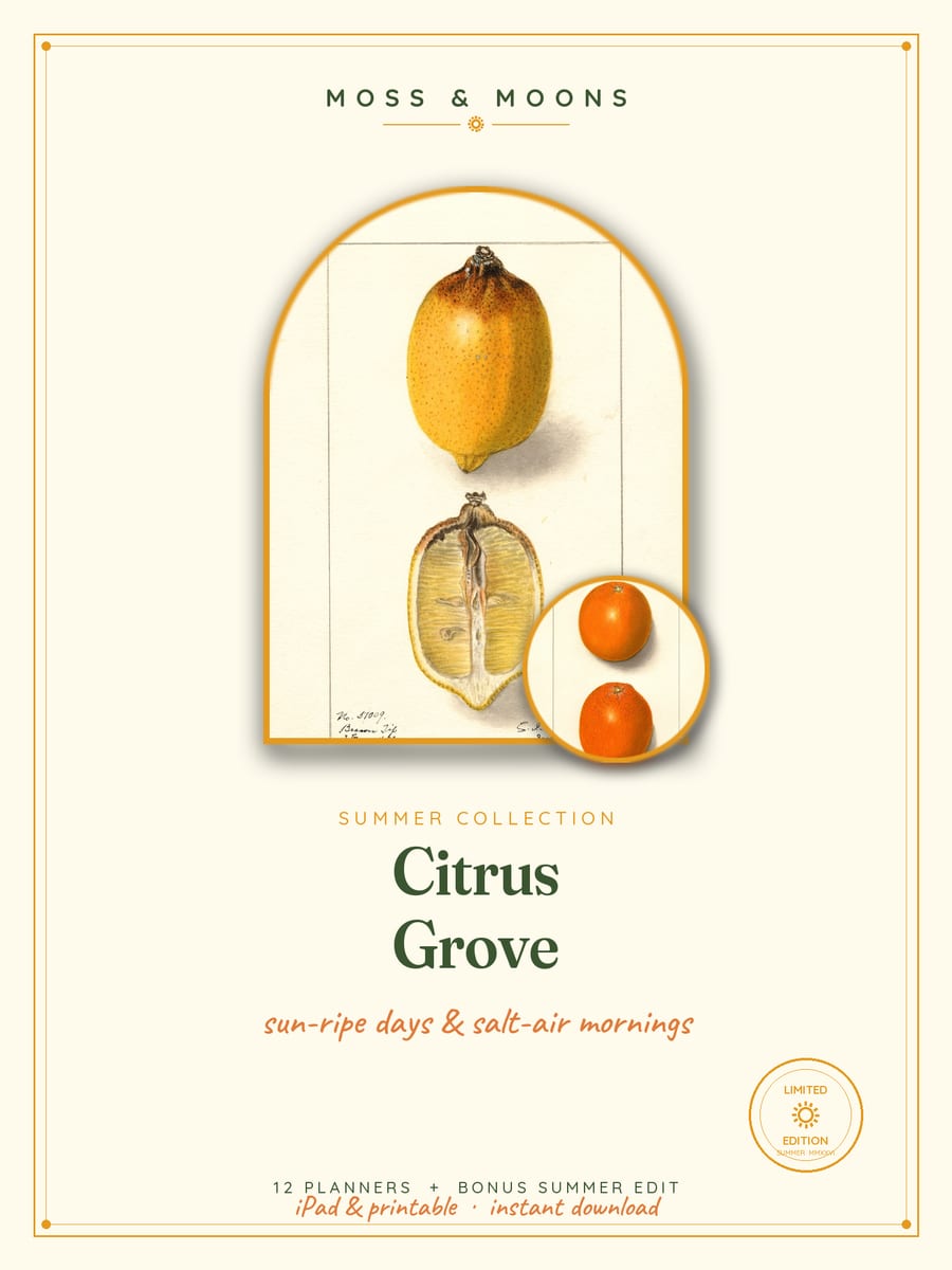 Citrus Grove cover